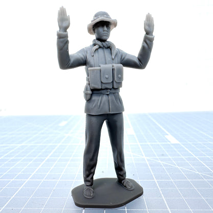 Vietnam NVA Surrender